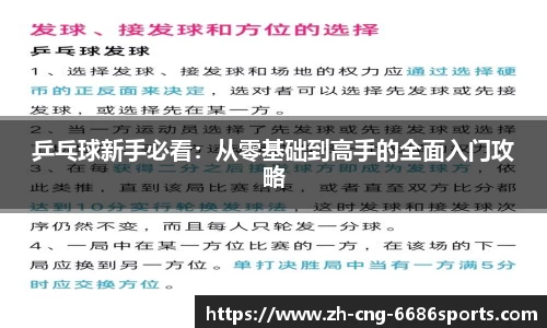 乒乓球新手必看：从零基础到高手的全面入门攻略